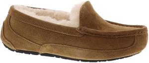 Детские тапочки UGG Ascot, Big Kid (8-12 Years) Chestnut Suede