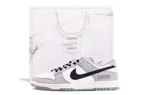 Nike Кроссовки для скейтбординга Dunk Coverage устойчивые к истиранию низкие unisex серый белый