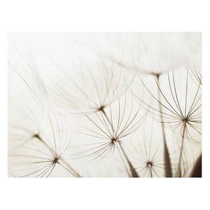 Картина Bilderwelten Sanfte Gräser II, 80x60x0,4 см, разноцветный