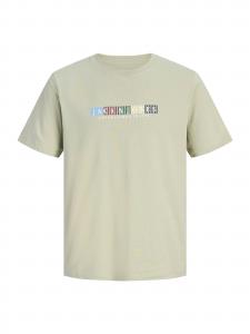 Jack & Jones Plus Футболка 'JORNantucket' в зеленом цвете