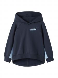 NAME IT Толстовка 'NMMBENTU' в синем, светло-голубом