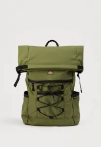 Рюкзак-Трансформер ashville utility roll унисекс Dickies, Cypress