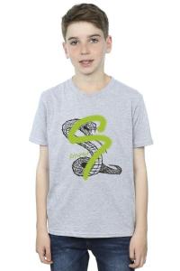 Футболка Слизерин с поп-спрей Harry Potter, серый