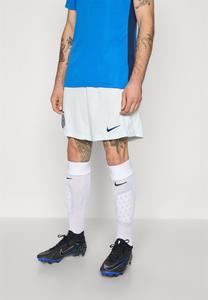 Спортивные шорты Nike Performance INTER MILAN 2025/26 STADIUM AWAY, Ghost Aqua/Blue Void/Blue