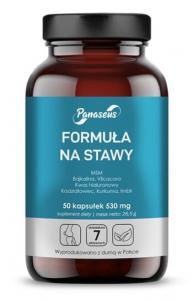 Panaseus, Joint Formula 50 капс. здоровых суставов