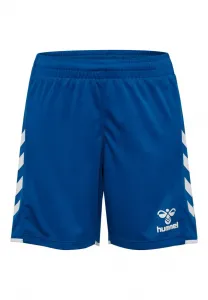 Спортивные штаны hmlcore 2.0 Hummel, True Blue White