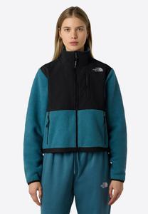 Флисовая куртка The North Face W RETRO DENALI JACKET, Space/Light Blue
