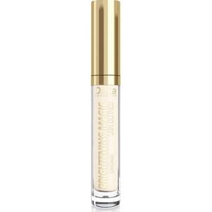 Консилер для лица Delia Brightening Magic Brightening Face 05