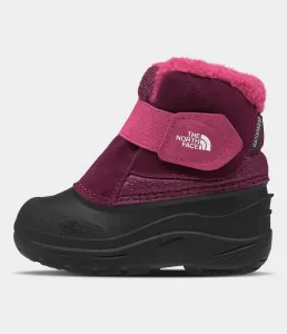 Ботинки Alpenglow II для малышей The North Face, Boysenberry/TNF Black