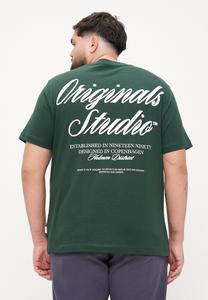 Футболка Jack & Jones JORNORREBRO TYPO, Sycamore/Dark Green