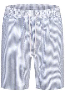 Обычные брюки Kronstadt Arlin, синий