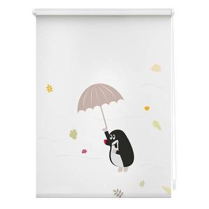 Рулонные шторы Lichtblick Maulwurf, 80x150x5 см, красочный