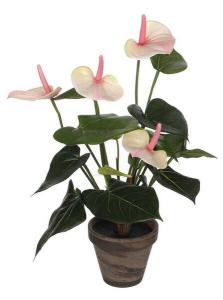 Декоративное растение Mica Decorations Anthurium, 30x30x30 см, светло-розовый