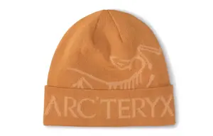 Шапка Arcteryx с логотипом, желтый