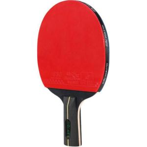 Ракетка для пинг-понга DOUBLE FISH, double fish kirin wood, penhold grip[single racket]