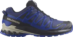 Кроссовки XA Pro 3D v9 GORE-TEX 'Blue Print', синий