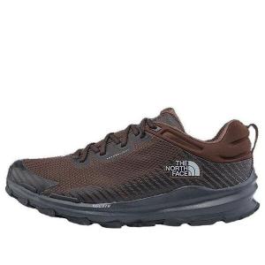 Кроссовки vectiv fastpack futurelight shoes 'demitasse brown tnf black' The North Face, коричневый
