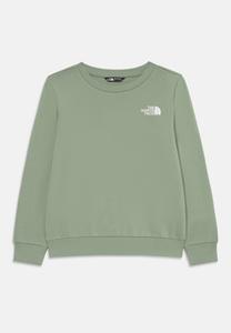 Толстовка The North Face SIMPLE DOME CREW, Light Green