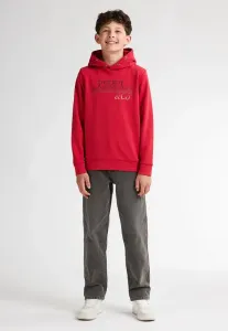 Худи с изображением уэнатчи Petrol Industries, Bullseye Red