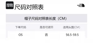 Шапка Unisex THE NORTH FACE, серый