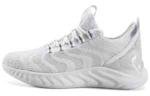 Кроссовки Tai Ji1.0 мужские с низким верхом для ходьбы Clouds белые Peak