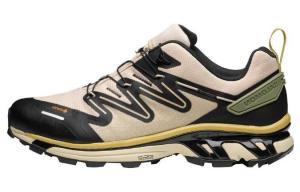 Кроссовки SALOMON XT-Rush 2 GORE-TEX 'Cement Deep Lichen Green', кремовый
