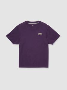 Футболка Volcom Radical Daze Up T-Shirt, grape royale
