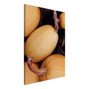 Фреска Artgeist Fall Season, оранжевый