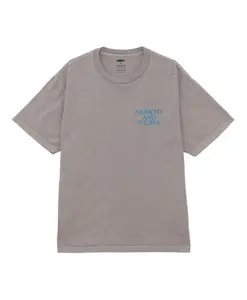 Хлопковая футболка с коротким рукавом Anarchy Utopia Obey, коричневый