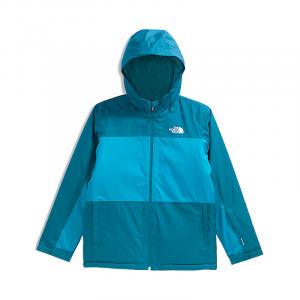 Детская куртка THE NORTH FACE, синий