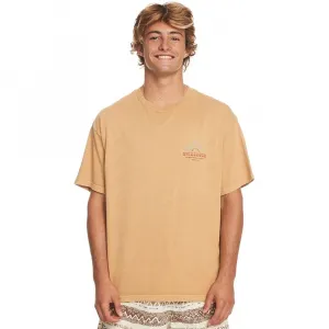 Футболка Quiksilver Qs Bloom Ss short sleeve v neck, бежевый
