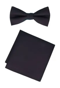 Комплект: нагрудный платок Willen, Bordeaux