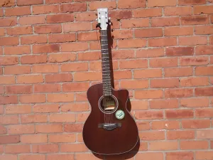 Ibanez AVC9CE-OPN с жестким футляром