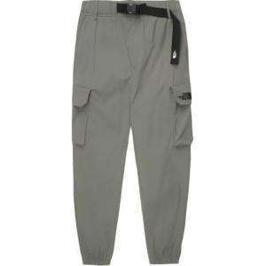 Повседневные брюки мужские серые The North Face, серый