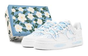 Мужские кроссовки для скейтбординга Nike Air Force 1 Low, светло-синий