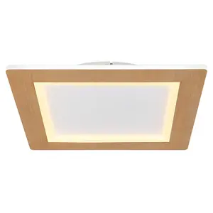 Потолочный светильник LED CLAY LED-модуль 1 шт. Потолочная лампа/под дерево/квадратная/гостиная/спальня Globo Lighting, белый