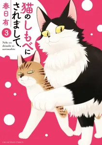 I Became the Cat's Servant (3) (Ura Shonen Sunday Comics)