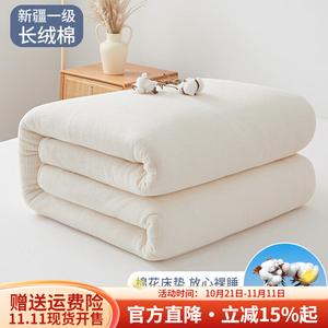 Boyang Одеяло 220х240 см из хлопка Синьцзян, 2 кг