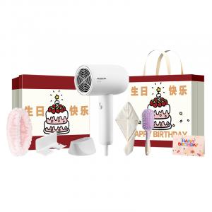 Фен 1800W с постоянной температурой для ухода за волосами, высокая мощность, компактный и удобный PH1621 POREE