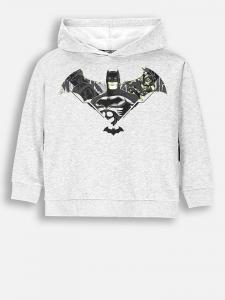 Толстовка серого цвета Coccodrillo