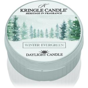 Свеча Winter Evergreen - 42 г Kringle Candle
