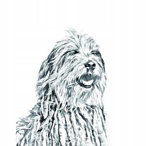 Бергамская овчарка Складное карманное зеркало Inna Marka