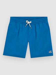 Пляжные шорты O'Neill Vert 14″ Kids Boardshorts, mary poppins