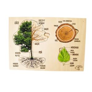 Строительство деревьев, деревянная головоломка, лесное образование Inna marka