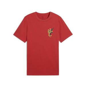 Мужская футболка с коротким рукавом и графическим принтом "Путь к единству"