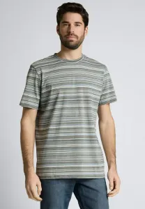 Футболка в полоску Tom Tailor, Olive Orange Multicolor Stripe