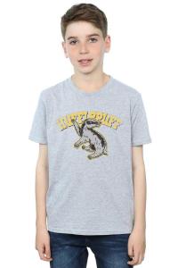 Хлопковая футболка Хаффлпаффа Harry Potter, серый