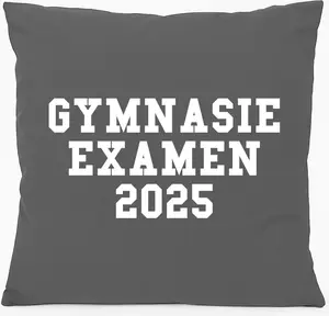 Подушка для дивана Huuraa, подарок к выпускному в Швеции 2025 г., 40 x 40 см, с наполнителем из хлопка стального серого цвета, сувенир к выпускному в Швеции 2025 г. Hellweg Druckerei
