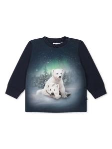 Толстовка Элой Molo, синий