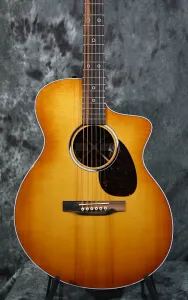 Martin SC-13E Special Burst Cutaway с доставкой в тот же день
